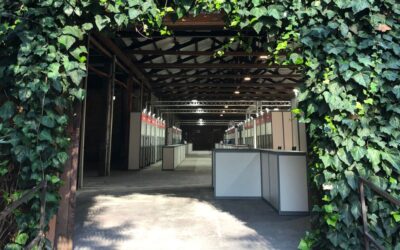 Designing Setups for International Events